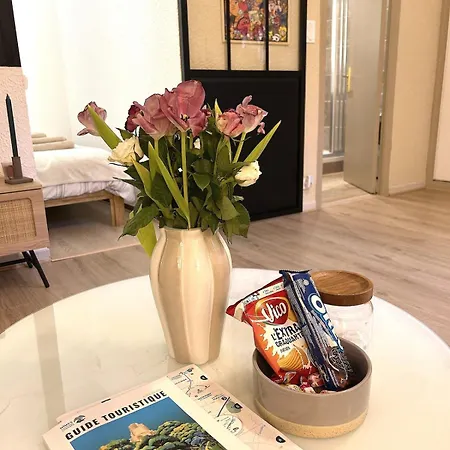 Le Cosy Nimois, Charme Et Terrasse Au Coeur De Apartment